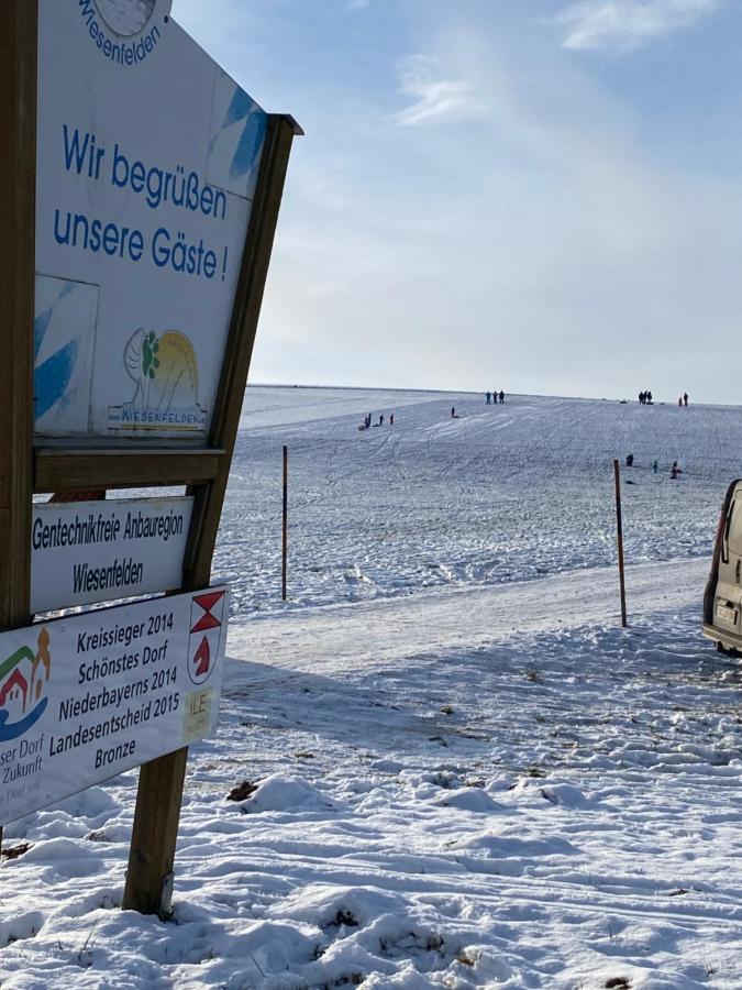 Grosszuegig Und Komfortabel:Ferienwohnung Im Bayerischen Wald! Wiesenfelden Luaran gambar